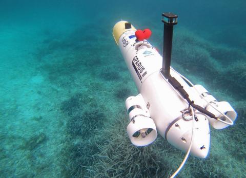 Robots vigilan la vida submarina