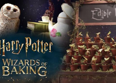 Harry Potter inspira un nuevo programa culinario