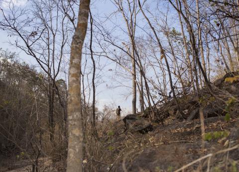 Ecuador enfrenta problemas ambientales como la deforestaci&oacute;n y miner&iacute;a ilegal