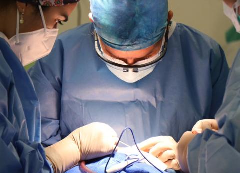 Cirugía plástica en hombres: un fenómeno impulsado por la autoestima