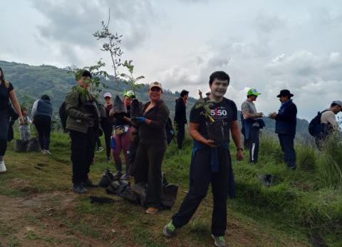 Más de 700 especies nativas fueron sembradas en el cerro Ilaló