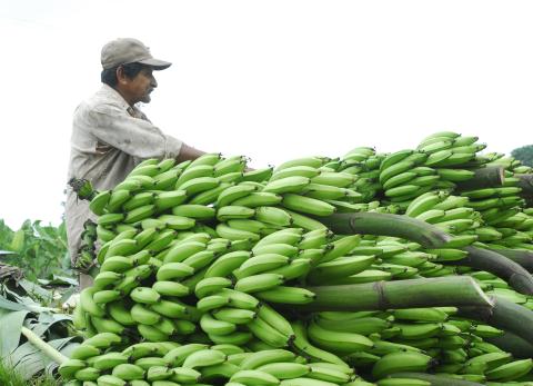 Colombia endurece medidas econ&oacute;micas contra Ecuador: m&aacute;s de 70 productos con arancel