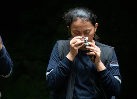 La tasa minera de Ecuador afrontará demandas de inconstitucionalidad