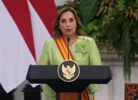 Tribunal Constitucional de Perú blinda a Dina Boluarte de investigaciones