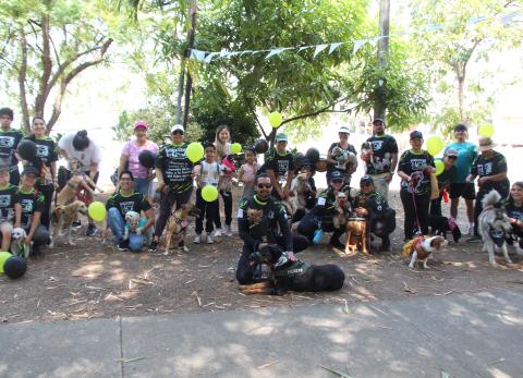 La manada que unió a los vecinos de San Felipe por el amor canino