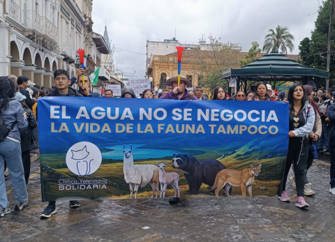 Hist&oacute;rica marcha en Cuenca: las tres claves para entender rechazo a proyecto minero