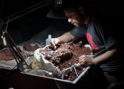 Hallan uno de los dinosaurios más antiguos del mundo en Argentina