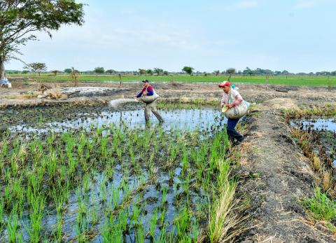 El agro, fuente de riqueza sin bienestar laboral