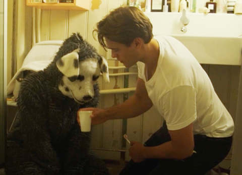 Cr&iacute;tica de cine. Good Boy, &iquest;puede el terror verse a trav&eacute;s de los ojos de un perro?