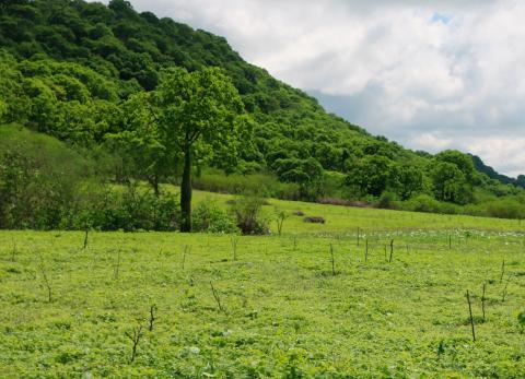 Azuay gana una nueva área protegida con más de 2.000 hectáreas de páramo