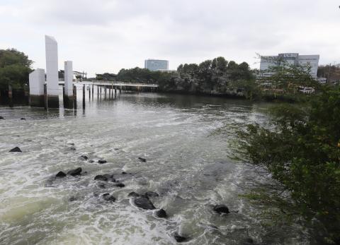 Guayaquil: Actuar por el ambiente para tener una ciudadan&iacute;a &lsquo;verde&rsquo;