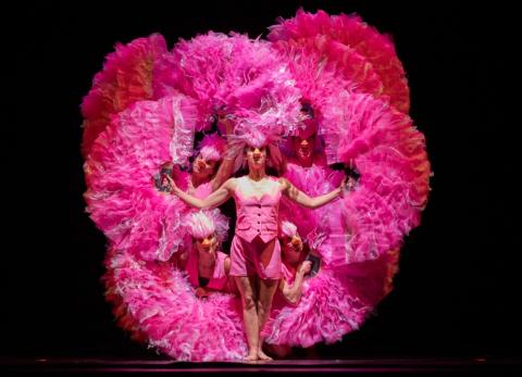 &lsquo;El carnaval de los animales&rsquo;: una oda a la vida natural en el Teatro S&aacute;nchez Aguilar