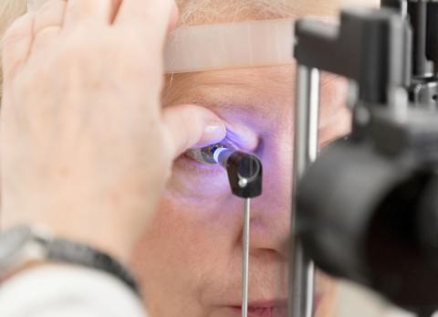 Academia guayaquile&ntilde;a impulsa sistema inteligente para detectar glaucoma temprano