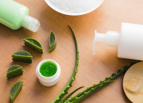 C&oacute;mo hacer crema con aloe vera: beneficios para tu piel y producci&oacute;n de col&aacute;geno