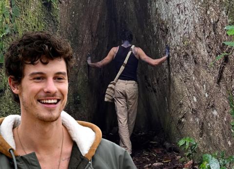 Shawn Mendes y su reflexi&oacute;n sobre la naturaleza conecta con la consulta en Ecuador