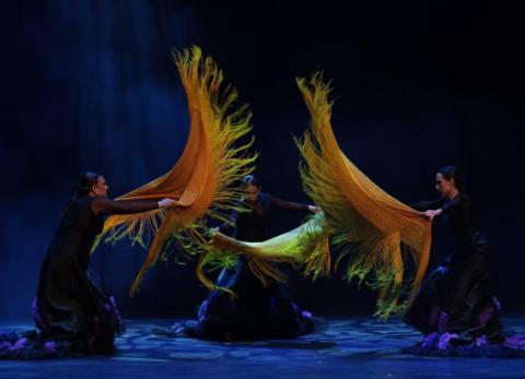 Loja se convierte en epicentro cultural de Ecuador con el Festival de Artes Vivas