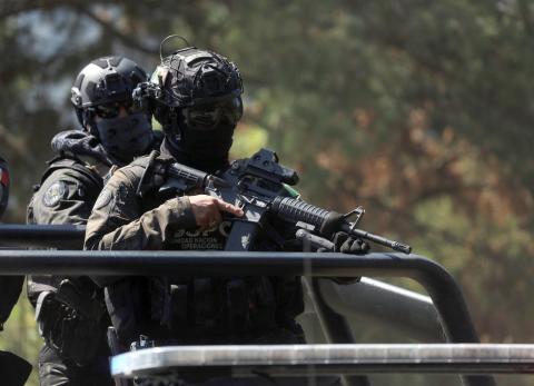 M&eacute;xico lanza una ofensiva contra doce carteles del narcotr&aacute;fico en Michoac&aacute;n