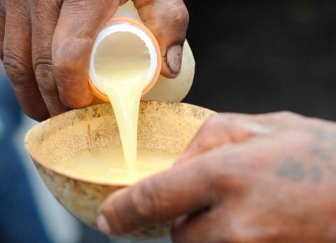 ESPOL revela el valor nutricional de las bebidas fermentadas ind&iacute;genas