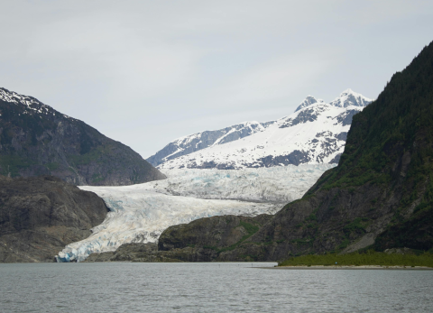 Microbios antiguos recuperan actividad tras 40.000 a&ntilde;os en el permafrost de Alaska