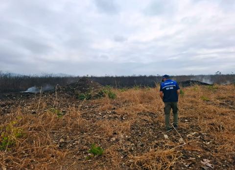 Olor a caucho en Guayaquil: Municipio indaga el origen tras las quejas