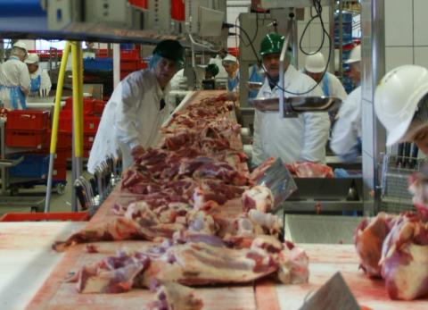 Nuevo camal en Guayaquil: qu&eacute; har&aacute; Camalquil EP y por qu&eacute; el Municipio la impulsa