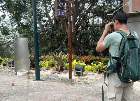 Aves: el tesoro natural que podr&iacute;a transformar el turismo en Guayaquil
