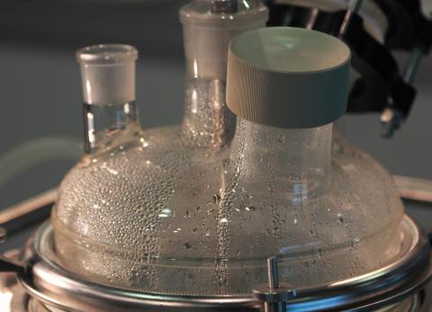 UTEG propone una soluci&oacute;n sostenible para tratar desechos porcinos en Ecuador