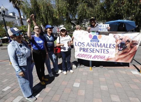 Colectivos piden ordenanza que permitir&aacute; a Quito ser pionera en regular la pirotecnia
