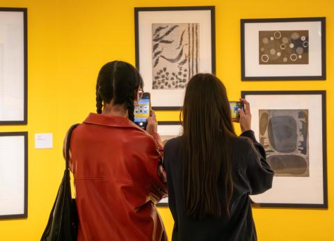 El legado de Irene C&aacute;rdenas vuelve a escena en su primera gran retrospectiva