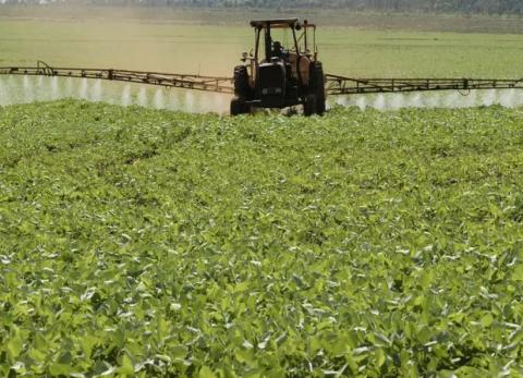 Mucha tierra en pocas manos, el drama de Paraguay