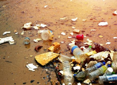 La huella invisible del pl&aacute;stico: una amenaza para la biodiversidad del Ecuador