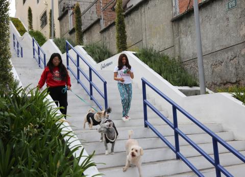 Quito redistribuir&aacute; el cobro de obras y baja el impacto del predial