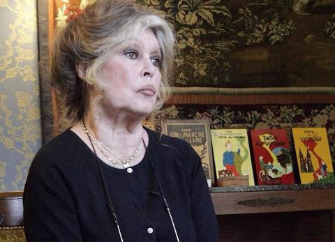 Brigitte Bardot: Muere la actriz que marc&oacute; una &eacute;poca y desafi&oacute; las reglas