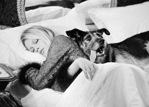 Brigitte Bardot: Su fortuna financiar&aacute; la protecci&oacute;n animal