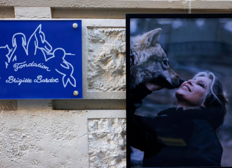 Brigitte Bardot: leyenda del cine y voz de los derechos animales, muere a los 91 a&ntilde;os