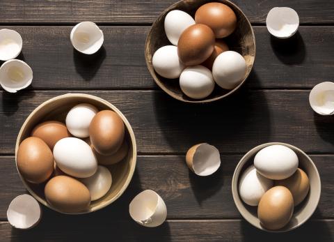 Huevos blancos y marrones: &iquest;Es el color un indicador de calidad o solo gen&eacute;tica?