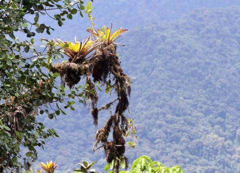 Choc&oacute; Andino: 5 razones por las que Quito lidera los destinos tur&iacute;sticos 2026