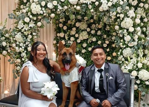 Entre bodas y divorcios, Pichincha encabeza cifras del Registro Civil