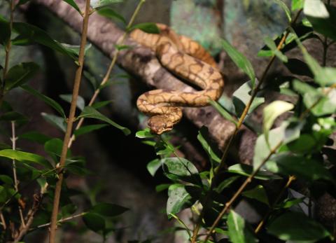 Paseo Express: tres lugares imperdibles que puedes visitar usando el Metro de Quito