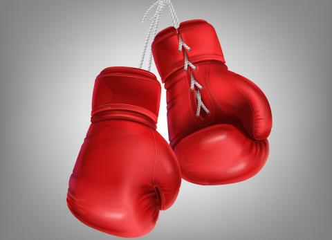 Ring Kong, la marca l&iacute;der en equipamiento y entrenamiento para deportes de combate