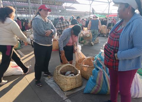 Feria de Animales de Ambato regres&oacute; a su sede, pero las ventas a&uacute;n no se recuperan