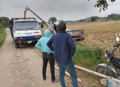 Colombia proh&iacute;be por 30 d&iacute;as ingreso terrestre de arroz local tras escalada comercial