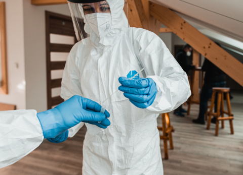 Virus Nipah: qu&eacute; es, c&oacute;mo se contagia y d&oacute;nde se registran m&aacute;s casos