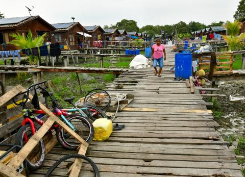 Isla Santay agoniza por cierre del puente y falta de turismo