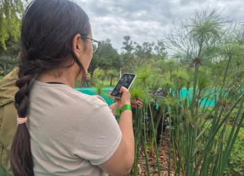 Fauna y hongos se multiplican por cinco en el Parque Bicentenario de Quito