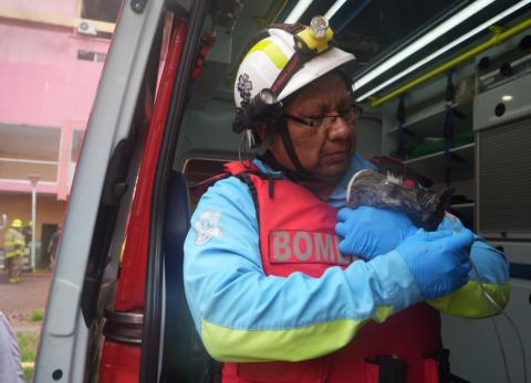 Incendio en Multicomercio dej&oacute; dos gatos rescatados y adultos mayores atendidos