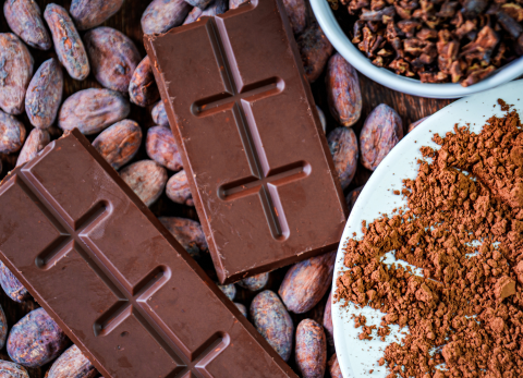 Cacao ecuatoriano en EE.UU.: c&oacute;mo impacta la eliminaci&oacute;n de la sobretasa