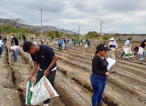 Investigaci&oacute;n de la UG impulsa mejoradores de suelo en la costa ecuatoriana
