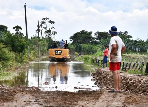 Inundaciones reavivan temor por propagaci&oacute;n de Fusarium en El Oro
