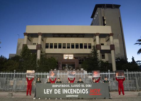 Ambientalistas presionan al Parlamento de Chile para aprobar ley de incendios